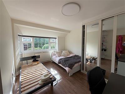 Picture 11